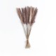 GloboStar® Artificial Garden REAL DRIED BROWN PAMPAS GRASS BUNCH 21115 Αποξηραμένο Διακοσμητικό Μπουκέτο Pampas Kάφε Y50cm