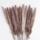 GloboStar® Artificial Garden REAL DRIED BROWN PAMPAS GRASS BUNCH 21115 Αποξηραμένο Διακοσμητικό Μπουκέτο Pampas Kάφε Y50cm