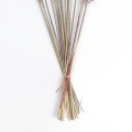 GloboStar® Artificial Garden REAL DRIED BROWN PAMPAS GRASS BUNCH 21115 Αποξηραμένο Διακοσμητικό Μπουκέτο Pampas Kάφε Y50cm GloboStar® Artificial Garden REAL DRIED BROWN PAMPAS GRASS BUNCH 21115 Αποξηραμένο Διακοσμητικό Μπουκέτο Pampas Kάφε Y50cm