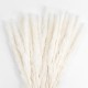 GloboStar® Artificial Garden REAL DRIED BEIGE PAMPAS GRASS BUNCH 21116 Αποξηραμένο Διακοσμητικό Μπουκέτο Pampas Μπέζ Y50cm