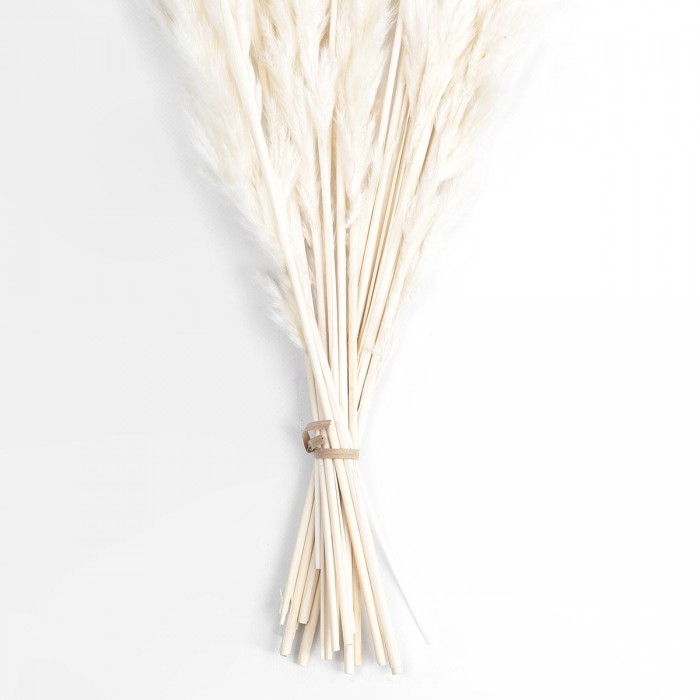 GloboStar® Artificial Garden REAL DRIED BEIGE PAMPAS GRASS BUNCH 21116 Αποξηραμένο Διακοσμητικό Μπουκέτο Pampas Μπέζ Y50cm