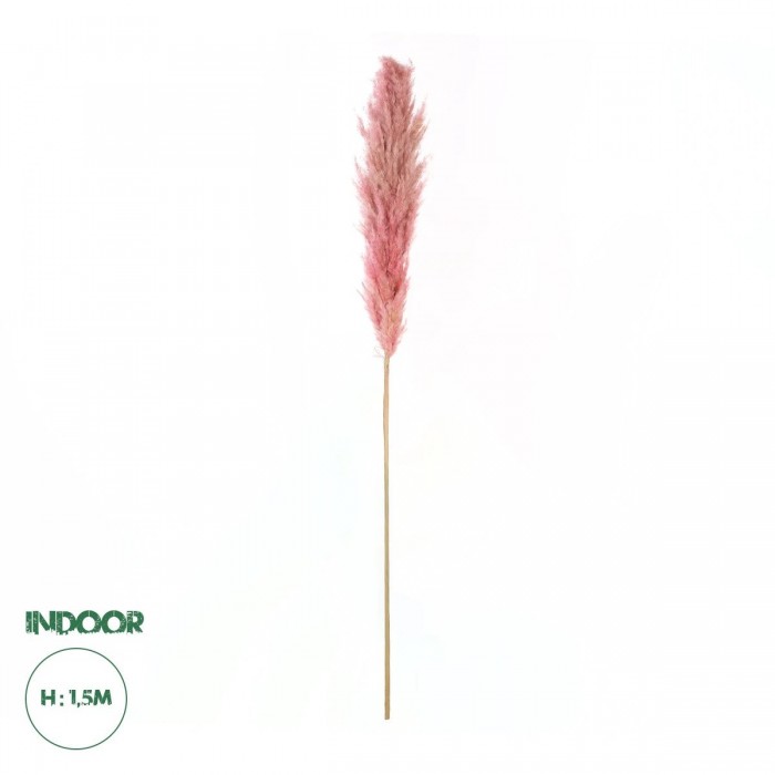 GloboStar® Artificial Garden PAMPAS GRASS 21218 Αποξηραμένο Διακοσμητικό Γρασίδι Πάμπας Μ10 x Π10 x Υ150cm GloboStar® Artificial Garden PAMPAS GRASS 21218 Αποξηραμένο Διακοσμητικό Γρασίδι Πάμπας Μ10 x Π10 x Υ150cm