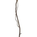 GloboStar® Artificial Garden REAL DRIED WITHERED VINE STEM 21120 Τεχνητό Διακοσμητικό Κλαδί Αμπελιού Y120cm GloboStar® Artificial Garden REAL DRIED WITHERED VINE STEM 21120 Τεχνητό Διακοσμητικό Κλαδί Αμπελιού Y120cm