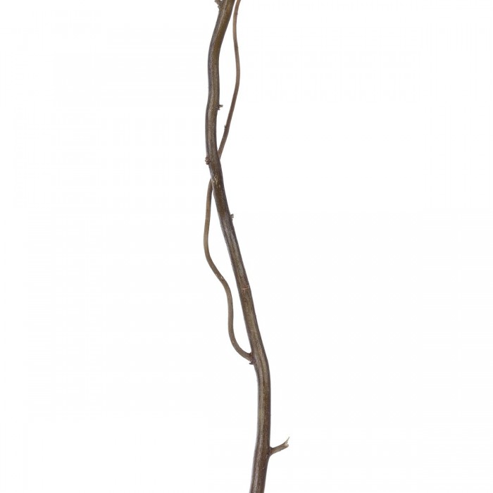 GloboStar® Artificial Garden REAL DRIED WITHERED VINE STEM 21120 Τεχνητό Διακοσμητικό Κλαδί Αμπελιού Y120cm