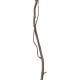 GloboStar® Artificial Garden REAL DRIED WITHERED VINE STEM 21120 Τεχνητό Διακοσμητικό Κλαδί Αμπελιού Y120cm