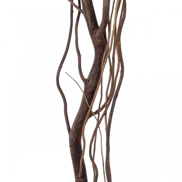 GloboStar® Artificial Garden REAL DRIED WITHERED VINE STEM 21121 Τεχνητό Διακοσμητικό Κλαδί Αμπελιού Y180cm