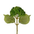 GloboStar® Artificial Garden GREEN SEDUM BRANCH 21336 Τεχνητό Διακοσμητικό Κλαδί Πράσινο Σέδο Y38cm GloboStar® Artificial Garden GREEN SEDUM BRANCH 21336 Τεχνητό Διακοσμητικό Κλαδί Πράσινο Σέδο Y38cm