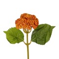 GloboStar® Artificial Garden ORANGE SEDUM BRANCH 21338 Τεχνητό Διακοσμητικό Κλαδί Πορτοκαλί Σέδο Y38cm GloboStar® Artificial Garden ORANGE SEDUM BRANCH 21338 Τεχνητό Διακοσμητικό Κλαδί Πορτοκαλί Σέδο Y38cm