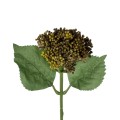 GloboStar® Artificial Garden BROWN SEDUM BRANCH 21341 Τεχνητό Διακοσμητικό Κλαδί Καφε Σέδο Y38cm GloboStar® Artificial Garden BROWN SEDUM BRANCH 21341 Τεχνητό Διακοσμητικό Κλαδί Καφε Σέδο Y38cm