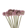 GloboStar® Artificial Garden PURPLE DANDELION BOUQET 21360 Τεχνητό Διακοσμητικό Ταραξάκο Μπουκέτο Y54cm GloboStar® Artificial Garden PURPLE DANDELION BOUQET 21360 Τεχνητό Διακοσμητικό Ταραξάκο Μπουκέτο Y54cm
