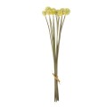 GloboStar® Artificial Garden PALE YELLOW DANDELION BOUQET 21363 Τεχνητό Διακοσμητικό Ταραξάκο Μπουκέτο Y54cm GloboStar® Artificial Garden PALE YELLOW DANDELION BOUQET 21363 Τεχνητό Διακοσμητικό Ταραξάκο Μπουκέτο Y54cm