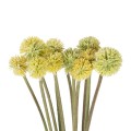 GloboStar® Artificial Garden PALE YELLOW DANDELION BOUQET 21363 Τεχνητό Διακοσμητικό Ταραξάκο Μπουκέτο Y54cm GloboStar® Artificial Garden PALE YELLOW DANDELION BOUQET 21363 Τεχνητό Διακοσμητικό Ταραξάκο Μπουκέτο Y54cm