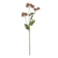GloboStar® Artificial Garden PURPLE DANDELION BOUQET 21364 Τεχνητό Διακοσμητικό Ταραξάκο Μπουκέτο Y62cm GloboStar® Artificial Garden PURPLE DANDELION BOUQET 21364 Τεχνητό Διακοσμητικό Ταραξάκο Μπουκέτο Y62cm