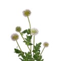 GloboStar® Artificial Garden PURPLE PINK BOUQET 21366 Τεχνητό Διακοσμητικό Ταραξάκο Μπουκέτο Y70cm GloboStar® Artificial Garden PURPLE PINK BOUQET 21366 Τεχνητό Διακοσμητικό Ταραξάκο Μπουκέτο Y70cm