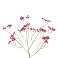 GloboStar® Artificial Garden PINK BRANCH BABY BREATH 21368 Τεχνητό Διακοσμητικό Κλαδί Ροζ Γυψοφίλης Y61cm GloboStar® Artificial Garden PINK BRANCH BABY BREATH 21368 Τεχνητό Διακοσμητικό Κλαδί Ροζ Γυψοφίλης Y61cm