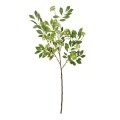 GloboStar® Artificial Garden GREEN EIGHT TREASURE FRUIT BRANCH 21373 Τεχνητό Διακοσμητικό Κλαδί Eight Tresure Πράσινο Y87cm GloboStar® Artificial Garden GREEN EIGHT TREASURE FRUIT BRANCH 21373 Τεχνητό Διακοσμητικό Κλαδί Eight Tresure Πράσινο Y87cm