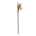 GloboStar® Artificial Garden ORANGE STELIZIA BRANCH 21399 Τεχνητό Διακοσμητικό Κλαδί Πορτοκαλί Στρελίτζια Y82cm GloboStar® Artificial Garden ORANGE STELIZIA BRANCH 21399 Τεχνητό Διακοσμητικό Κλαδί Πορτοκαλί Στρελίτζια Y82cm