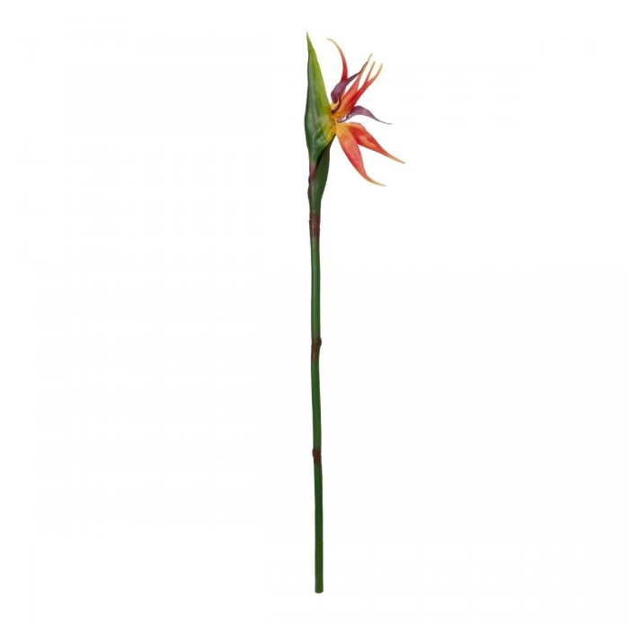 GloboStar® Artificial Garden ORANGE STELIZIA BRANCH 21399 Τεχνητό Διακοσμητικό Κλαδί Πορτοκαλί Στρελίτζια Y82cm GloboStar® Artificial Garden ORANGE STELIZIA BRANCH 21399 Τεχνητό Διακοσμητικό Κλαδί Πορτοκαλί Στρελίτζια Y82cm