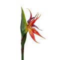GloboStar® Artificial Garden ORANGE STELIZIA BRANCH 21399 Τεχνητό Διακοσμητικό Κλαδί Πορτοκαλί Στρελίτζια Y82cm GloboStar® Artificial Garden ORANGE STELIZIA BRANCH 21399 Τεχνητό Διακοσμητικό Κλαδί Πορτοκαλί Στρελίτζια Y82cm