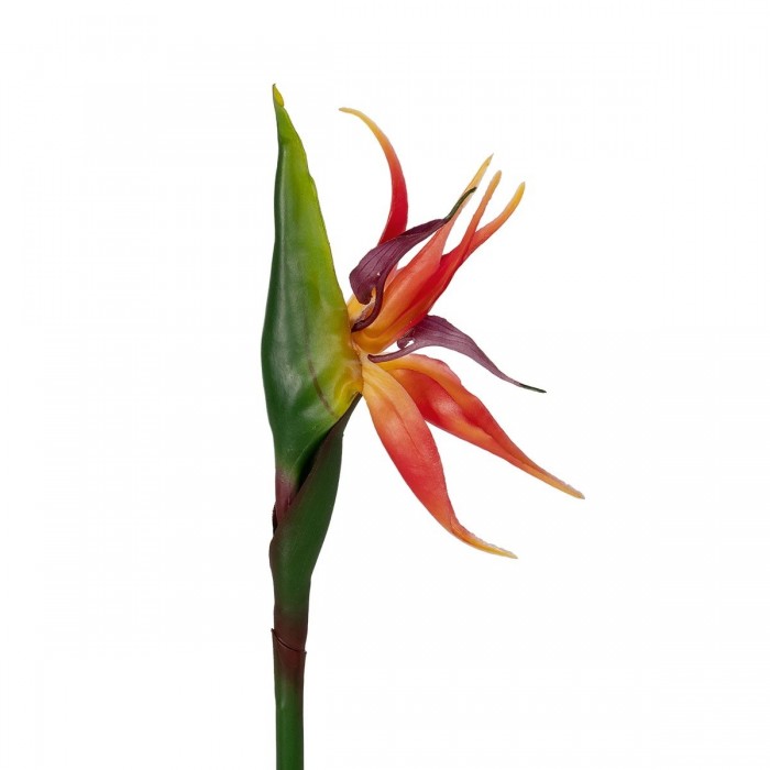 GloboStar® Artificial Garden ORANGE STELIZIA BRANCH 21399 Τεχνητό Διακοσμητικό Κλαδί Πορτοκαλί Στρελίτζια Y82cm GloboStar® Artificial Garden ORANGE STELIZIA BRANCH 21399 Τεχνητό Διακοσμητικό Κλαδί Πορτοκαλί Στρελίτζια Y82cm