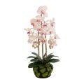 GloboStar® Artificial Garden BUTTERFLY ORCHID BONSAI 21400 Τεχνητό Διακοσμητικό Φυτό Ορχιδέα Μ34 x Π27 x Υ65cm GloboStar® Artificial Garden BUTTERFLY ORCHID BONSAI 21400 Τεχνητό Διακοσμητικό Φυτό Ορχιδέα Μ34 x Π27 x Υ65cm
