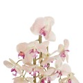 GloboStar® Artificial Garden BUTTERFLY ORCHID BONSAI 21400 Τεχνητό Διακοσμητικό Φυτό Ορχιδέα Μ34 x Π27 x Υ65cm GloboStar® Artificial Garden BUTTERFLY ORCHID BONSAI 21400 Τεχνητό Διακοσμητικό Φυτό Ορχιδέα Μ34 x Π27 x Υ65cm