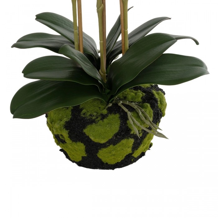 GloboStar® Artificial Garden BUTTERFLY ORCHID BONSAI 21400 Τεχνητό Διακοσμητικό Φυτό Ορχιδέα Μ34 x Π27 x Υ65cm GloboStar® Artificial Garden BUTTERFLY ORCHID BONSAI 21400 Τεχνητό Διακοσμητικό Φυτό Ορχιδέα Μ34 x Π27 x Υ65cm