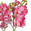 GloboStar® Artificial Garden PINK CHERRY CYMBIDIUM 21402 Διακοσμητικό Φυτό Φούξια Κυμβίδιο Υ60cm GloboStar® Artificial Garden PINK CHERRY CYMBIDIUM 21402 Διακοσμητικό Φυτό Φούξια Κυμβίδιο Υ60cm