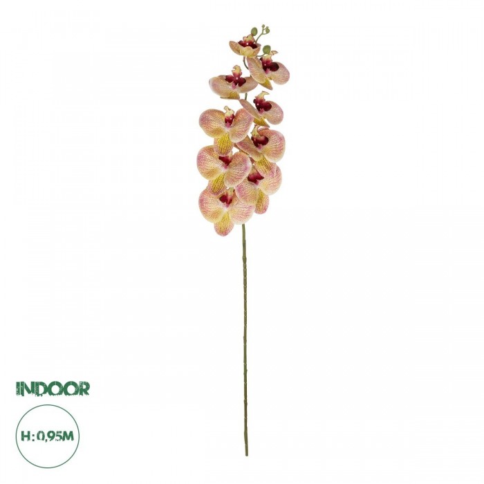 GloboStar® Artificial Garden PING SALMON ORCHID BRANCH 21405 Τεχνητό Διακοσμητικό Κλαδί Ροζ Ορχιδέα Y95cm GloboStar® Artificial Garden PING SALMON ORCHID BRANCH 21405 Τεχνητό Διακοσμητικό Κλαδί Ροζ Ορχιδέα Y95cm