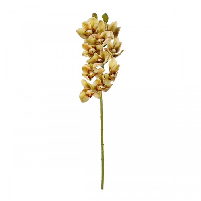GloboStar® Artificial Garden CHAMPAGNE CYMBIDIUM BRANCH 21408 Τεχνητό Διακοσμητικό Κλαδί Σαμπανί Κυμβίδιο Y75cm GloboStar® Artificial Garden CHAMPAGNE CYMBIDIUM BRANCH 21408 Τεχνητό Διακοσμητικό Κλαδί Σαμπανί Κυμβίδιο Y75cm