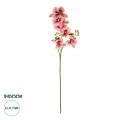 GloboStar® Artificial Garden CHAMPAGNE PINK ORCHID BRANCH 21411 Τεχνητό Διακοσμητικό Κλαδί Σαμπανί Ορχιδέα Y70cm GloboStar® Artificial Garden CHAMPAGNE PINK ORCHID BRANCH 21411 Τεχνητό Διακοσμητικό Κλαδί Σαμπανί Ορχιδέα Y70cm