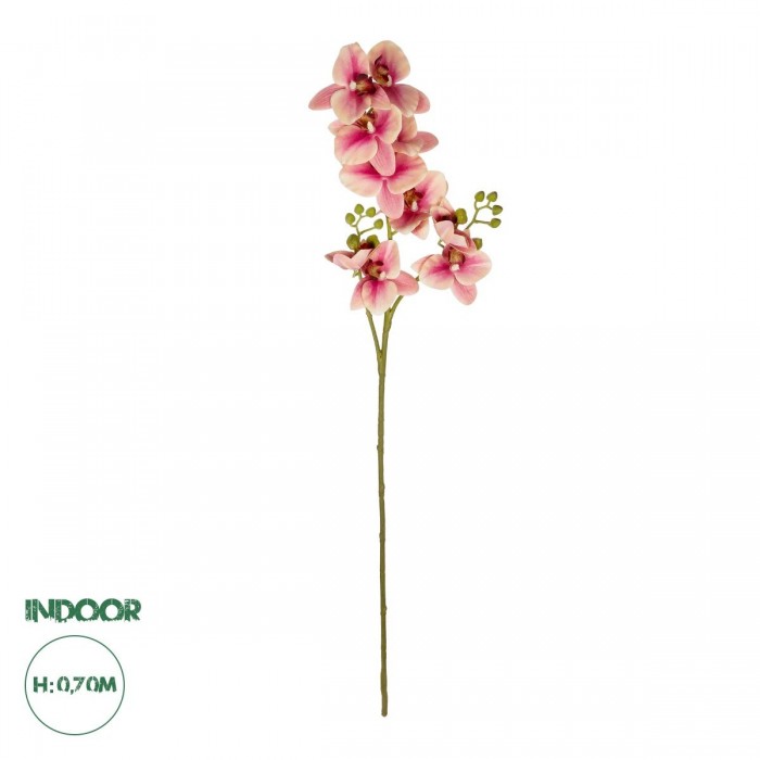 GloboStar® Artificial Garden CHAMPAGNE PINK ORCHID BRANCH 21411 Τεχνητό Διακοσμητικό Κλαδί Σαμπανί Ορχιδέα Y70cm GloboStar® Artificial Garden CHAMPAGNE PINK ORCHID BRANCH 21411 Τεχνητό Διακοσμητικό Κλαδί Σαμπανί Ορχιδέα Y70cm