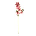GloboStar® Artificial Garden CHAMPAGNE PINK ORCHID BRANCH 21411 Τεχνητό Διακοσμητικό Κλαδί Σαμπανί Ορχιδέα Y70cm GloboStar® Artificial Garden CHAMPAGNE PINK ORCHID BRANCH 21411 Τεχνητό Διακοσμητικό Κλαδί Σαμπανί Ορχιδέα Y70cm
