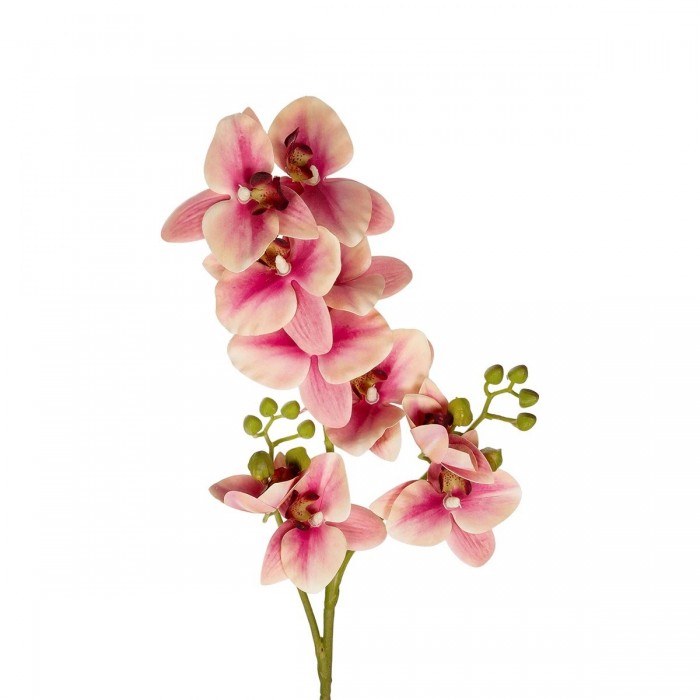 GloboStar® Artificial Garden CHAMPAGNE PINK ORCHID BRANCH 21411 Τεχνητό Διακοσμητικό Κλαδί Σαμπανί Ορχιδέα Y70cm GloboStar® Artificial Garden CHAMPAGNE PINK ORCHID BRANCH 21411 Τεχνητό Διακοσμητικό Κλαδί Σαμπανί Ορχιδέα Y70cm