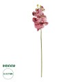 GloboStar® Artificial Garden PINK ORCHID BRANCH 21412 Τεχνητό Διακοσμητικό Κλαδί Ροζ Ορχιδέα Y70cm GloboStar® Artificial Garden PINK ORCHID BRANCH 21412 Τεχνητό Διακοσμητικό Κλαδί Ροζ Ορχιδέα Y70cm