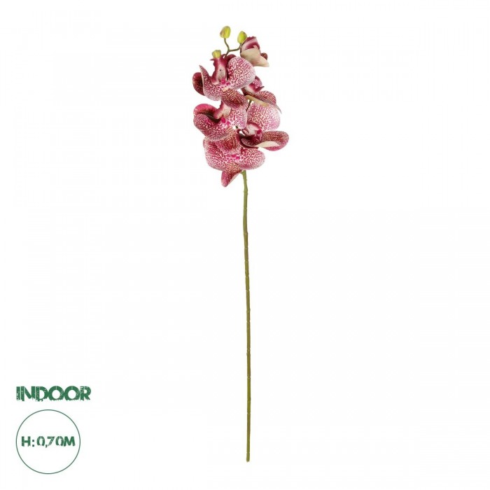 GloboStar® Artificial Garden PINK ORCHID BRANCH 21412 Τεχνητό Διακοσμητικό Κλαδί Ροζ Ορχιδέα Y70cm GloboStar® Artificial Garden PINK ORCHID BRANCH 21412 Τεχνητό Διακοσμητικό Κλαδί Ροζ Ορχιδέα Y70cm
