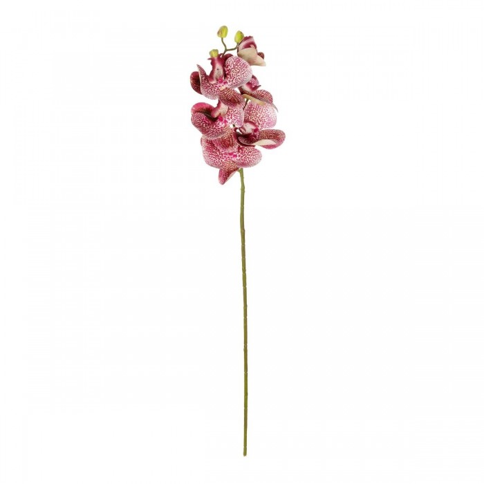 GloboStar® Artificial Garden PINK ORCHID BRANCH 21412 Τεχνητό Διακοσμητικό Κλαδί Ροζ Ορχιδέα Y70cm GloboStar® Artificial Garden PINK ORCHID BRANCH 21412 Τεχνητό Διακοσμητικό Κλαδί Ροζ Ορχιδέα Y70cm