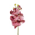 GloboStar® Artificial Garden PINK ORCHID BRANCH 21412 Τεχνητό Διακοσμητικό Κλαδί Ροζ Ορχιδέα Y70cm GloboStar® Artificial Garden PINK ORCHID BRANCH 21412 Τεχνητό Διακοσμητικό Κλαδί Ροζ Ορχιδέα Y70cm