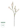 GloboStar® Artificial Garden CHAMPAGNE MAGNOLIA BRANCH 21423 Τεχνητό Διακοσμητικό Κλαδί Σαμπανί Μανόλια Y100cm GloboStar® Artificial Garden CHAMPAGNE MAGNOLIA BRANCH 21423 Τεχνητό Διακοσμητικό Κλαδί Σαμπανί Μανόλια Y100cm