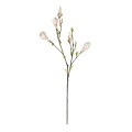 GloboStar® Artificial Garden CHAMPAGNE MAGNOLIA BRANCH 21423 Τεχνητό Διακοσμητικό Κλαδί Σαμπανί Μανόλια Y100cm GloboStar® Artificial Garden CHAMPAGNE MAGNOLIA BRANCH 21423 Τεχνητό Διακοσμητικό Κλαδί Σαμπανί Μανόλια Y100cm