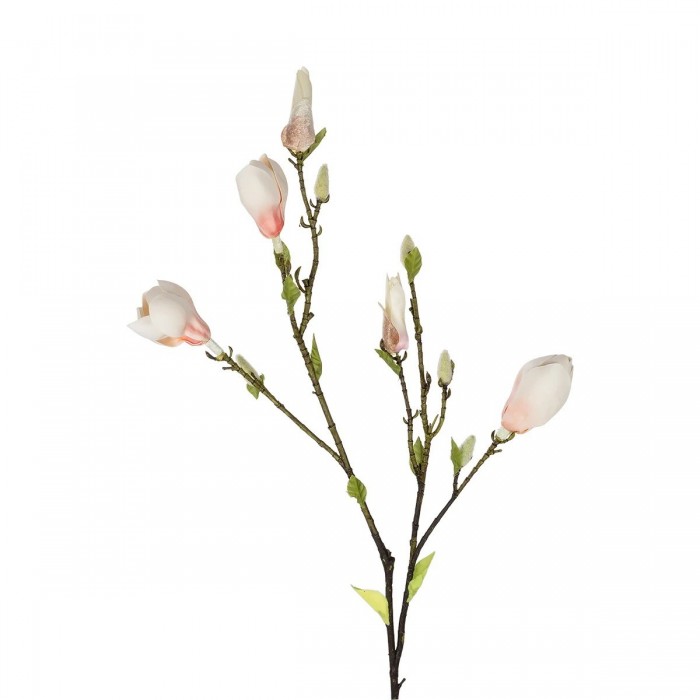 GloboStar® Artificial Garden CHAMPAGNE MAGNOLIA BRANCH 21423 Τεχνητό Διακοσμητικό Κλαδί Σαμπανί Μανόλια Y100cm GloboStar® Artificial Garden CHAMPAGNE MAGNOLIA BRANCH 21423 Τεχνητό Διακοσμητικό Κλαδί Σαμπανί Μανόλια Y100cm