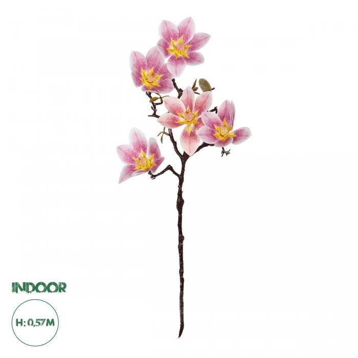 GloboStar® Artificial Garden PING MAGNOLIA BRANCH 21424 Τεχνητό Διακοσμητικό Κλαδί Ροζ Μανόλια Y57cm GloboStar® Artificial Garden PING MAGNOLIA BRANCH 21424 Τεχνητό Διακοσμητικό Κλαδί Ροζ Μανόλια Y57cm
