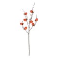 GloboStar® Artificial Garden ORANGE PERSIMMON FRUIT BRANCH 21438 Τεχνητό Διακοσμητικό Πορτοκαλί Κλαδί Λωτός Y83cm GloboStar® Artificial Garden ORANGE PERSIMMON FRUIT BRANCH 21438 Τεχνητό Διακοσμητικό Πορτοκαλί Κλαδί Λωτός Y83cm