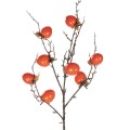GloboStar® Artificial Garden ORANGE PERSIMMON FRUIT BRANCH 21438 Τεχνητό Διακοσμητικό Πορτοκαλί Κλαδί Λωτός Y83cm GloboStar® Artificial Garden ORANGE PERSIMMON FRUIT BRANCH 21438 Τεχνητό Διακοσμητικό Πορτοκαλί Κλαδί Λωτός Y83cm