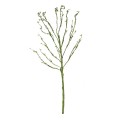 GloboStar® Artificial Garden BIG SPROUT BLOSSOM BRANCH 21461 Τεχνητό Διακοσμητικό Κλαδί Πράσινο Λάχανο Y150cm GloboStar® Artificial Garden BIG SPROUT BLOSSOM BRANCH 21461 Τεχνητό Διακοσμητικό Κλαδί Πράσινο Λάχανο Y150cm