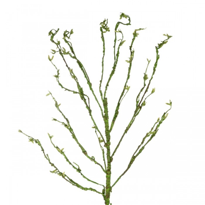 GloboStar® Artificial Garden BIG SPROUT BLOSSOM BRANCH 21461 Τεχνητό Διακοσμητικό Κλαδί Πράσινο Λάχανο Y150cm GloboStar® Artificial Garden BIG SPROUT BLOSSOM BRANCH 21461 Τεχνητό Διακοσμητικό Κλαδί Πράσινο Λάχανο Y150cm