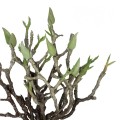 GloboStar® Artificial Garden GREEN ORCHID BOUQET 21466 Τεχνητό Διακοσμητικό Μπουκέτο Πράσινη Ορχιδέα Y34cm GloboStar® Artificial Garden GREEN ORCHID BOUQET 21466 Τεχνητό Διακοσμητικό Μπουκέτο Πράσινη Ορχιδέα Y34cm