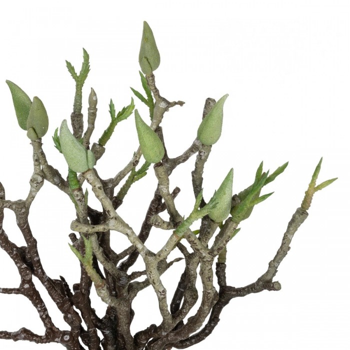 GloboStar® Artificial Garden GREEN ORCHID BOUQET 21466 Τεχνητό Διακοσμητικό Μπουκέτο Πράσινη Ορχιδέα Y34cm GloboStar® Artificial Garden GREEN ORCHID BOUQET 21466 Τεχνητό Διακοσμητικό Μπουκέτο Πράσινη Ορχιδέα Y34cm