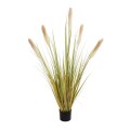 GloboStar® Artificial Garden PAMPAS GRASS 21478 Τεχνητό Διακοσμητικό Φυτό Μπεζ & Πράσινο Πάμπας Μ90 x Π40 x Υ150cm GloboStar® Artificial Garden PAMPAS GRASS 21478 Τεχνητό Διακοσμητικό Φυτό Μπεζ & Πράσινο Πάμπας Μ90 x Π40 x Υ150cm