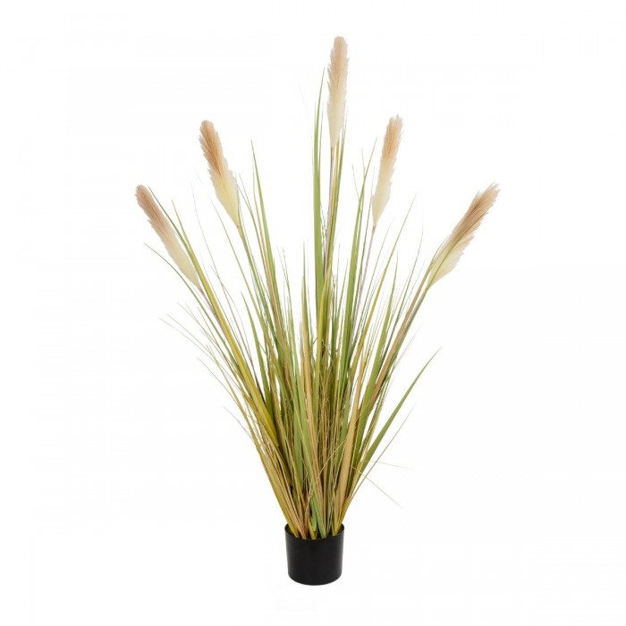 GloboStar® Artificial Garden PAMPAS GRASS 21478 Τεχνητό Διακοσμητικό Φυτό Μπεζ & Πράσινο Πάμπας Μ90 x Π40 x Υ150cm GloboStar® Artificial Garden PAMPAS GRASS 21478 Τεχνητό Διακοσμητικό Φυτό Μπεζ & Πράσινο Πάμπας Μ90 x Π40 x Υ150cm